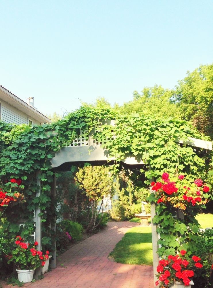 Mcdougall Lane Bed & Breakfast Drumheller Eksteriør bilde